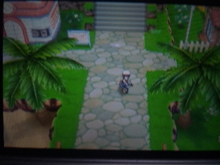 ポケモン1.jpg